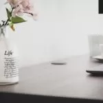 Lulet në zyrë, pse këshillohet t`i mbani?